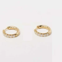 /public/photos/live/Round Cut Pave Moissanite Hoop Earrings 789 (2).webp